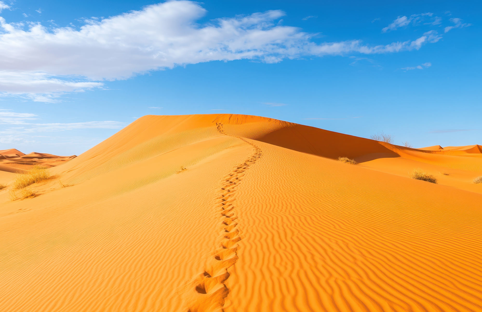 多彩摩洛哥祕密花園11天