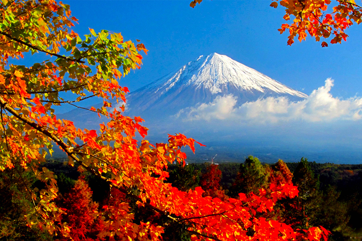 水色印富士．山景印天邊．靜岡溫泉美食旅韻7日