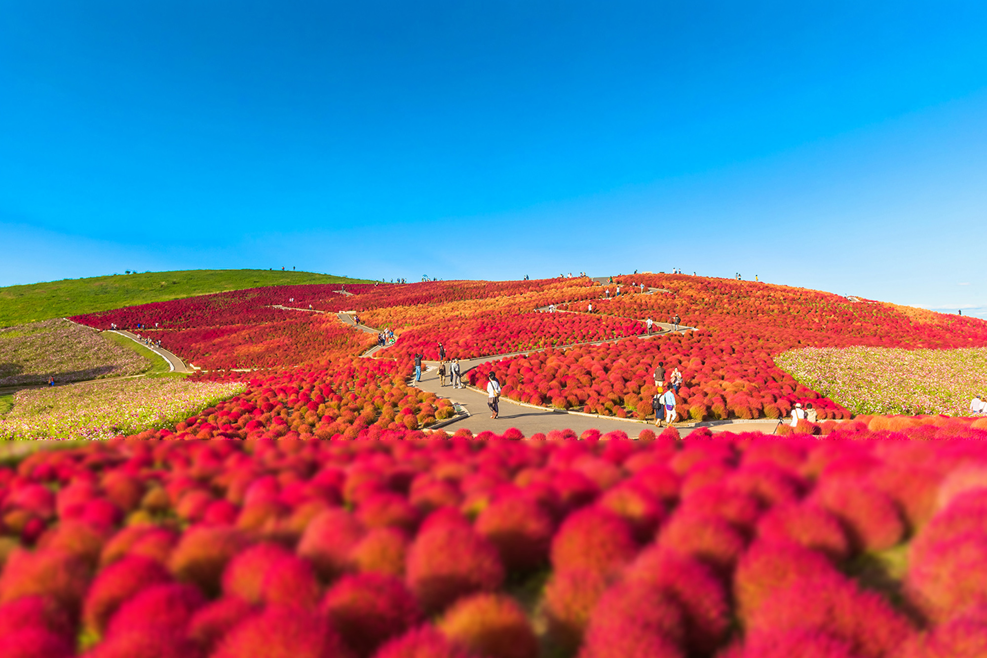 走讀茨城・深度旅遊5日